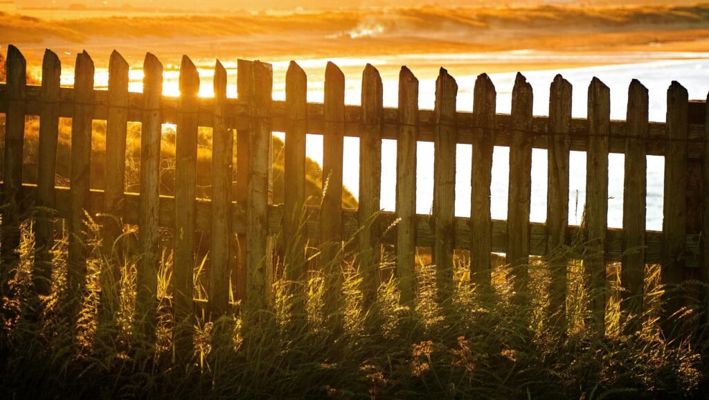 pexels-photo-1591930-1591930 Picturesque view of sunlight streaming through a wooden fence by the beach during golden hour.