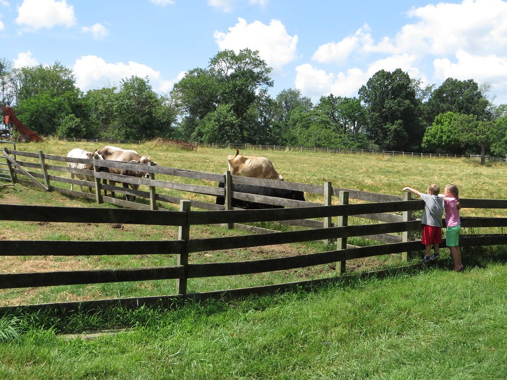 Gate Repair in North Hills, CA Fence install in North Hills, CA Fence Repair in North Hills, CA Gate Repair in North Hills, CA Garage Door install in North Hills, CA Gate Install in North Hills, CA Gate Access Control in North Hills, CA
