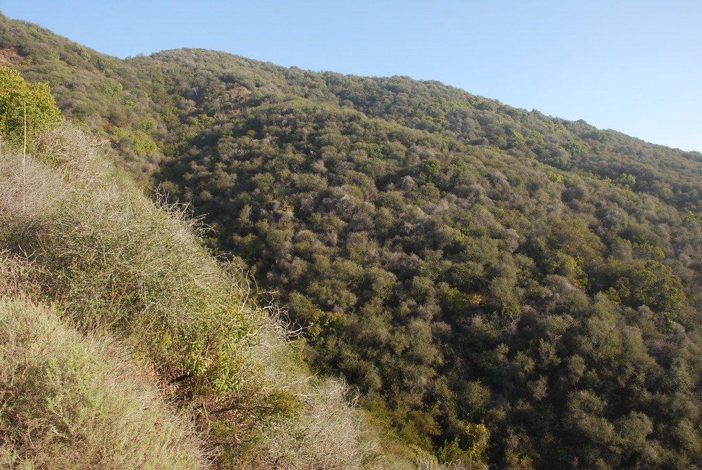 Gate Repair in Topanga, CA Fence install in Topanga, CA Fence Repair in Topanga, CA Gate Repair in Topanga, CA Garage Door install in Topanga, CA Gate Install in Topanga, CA Gate Access Control in Topanga, CA