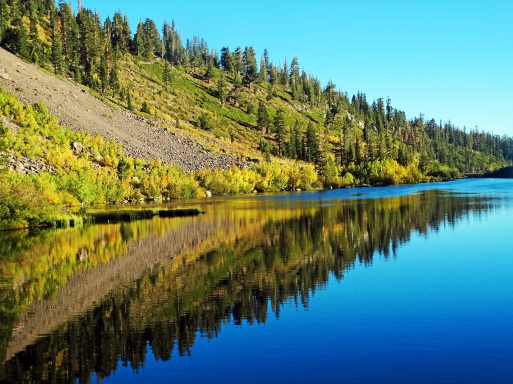 Gate Repair in Twin Lakes, CA Fence install in Twin Lakes, CA Fence Repair in Twin Lakes, CA Gate Repair in Twin Lakes, CA Garage Door install in Twin Lakes, CA Gate Install in Twin Lakes, CA Gate Access Control in Twin Lakes, CA