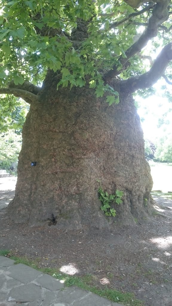 Gate Repair in Westgate, CA Fence install in Westgate, CA Fence Repair in Westgate, CA Gate Repair in Westgate, CA Garage Door install in Westgate, CA Gate Install in Westgate, CA Gate Access Control in Westgate, CA