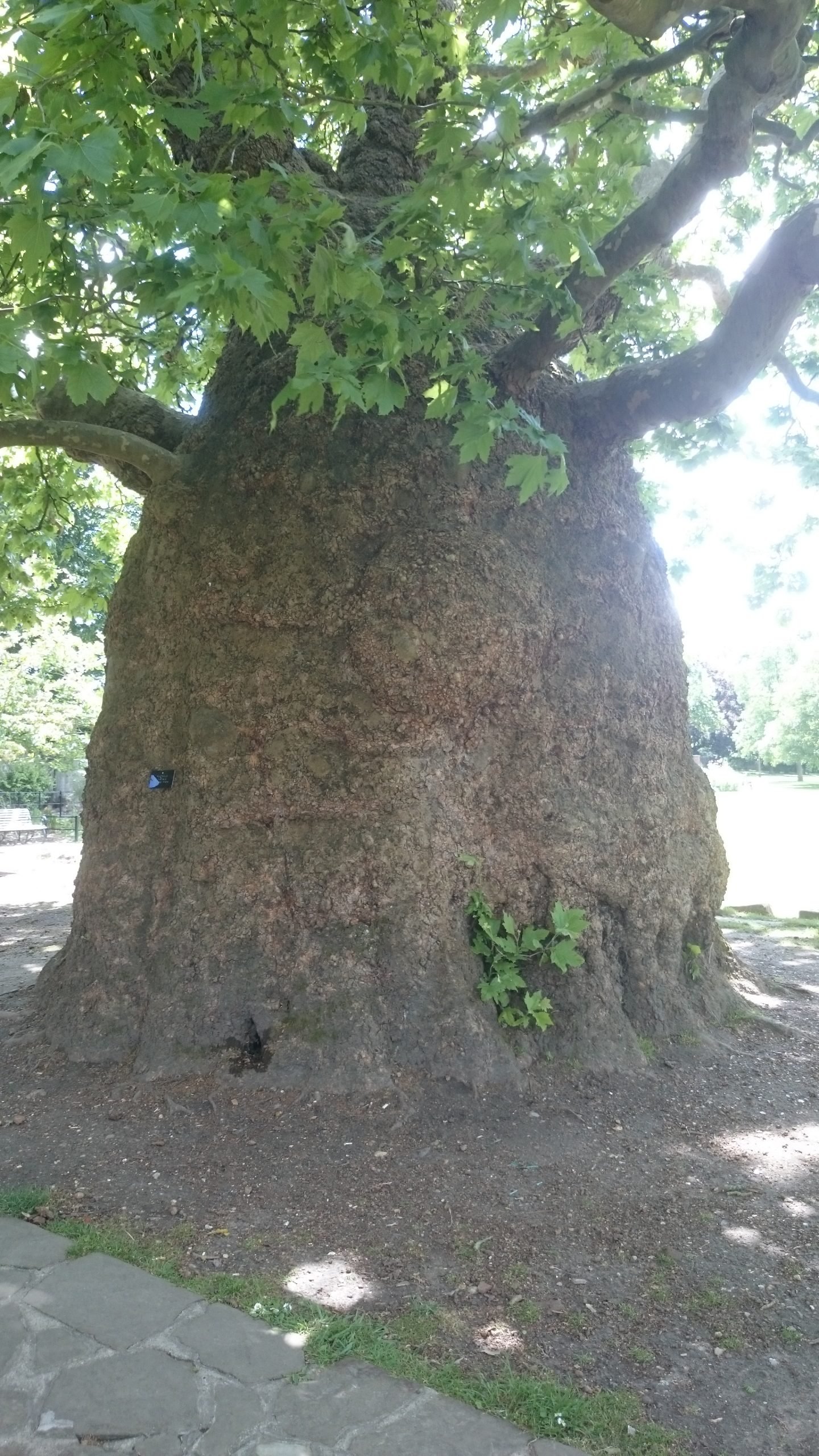 Gate Repair in Westgate, CA Fence install in Westgate, CA Fence Repair in Westgate, CA Gate Repair in Westgate, CA Garage Door install in Westgate, CA Gate Install in Westgate, CA Gate Access Control in Westgate, CA