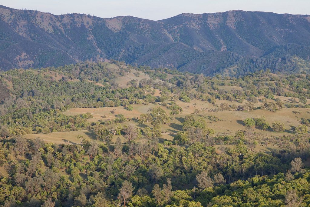 Gate Repair in Woodland Hills, CA Fence install in Woodland Hills, CA Fence Repair in Woodland Hills, CA Gate Repair in Woodland Hills, CA Garage Door install in Woodland Hills, CA Gate Install in Woodland Hills, CA Gate Access Control in Woodland Hills, CA