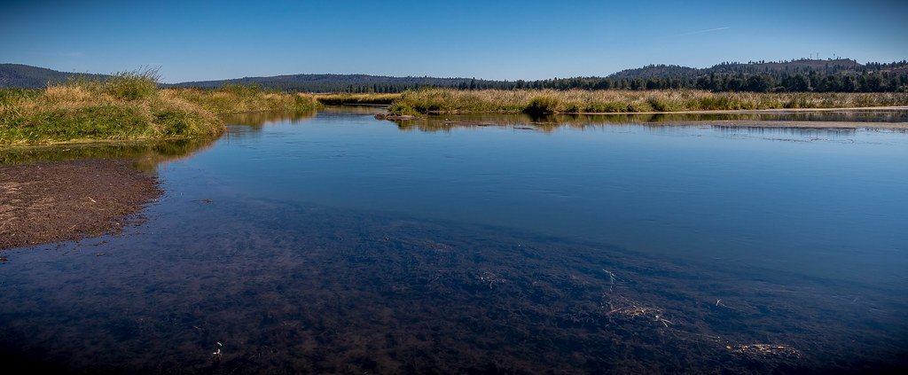 Gate Repair in Forest Park, CA Fence install in Forest Park, CA Fence Repair in Forest Park, CA Gate Repair in Forest Park, CA Garage Door install in Forest Park, CA Gate Install in Forest Park, CA Gate Access Control in Forest Park, CA