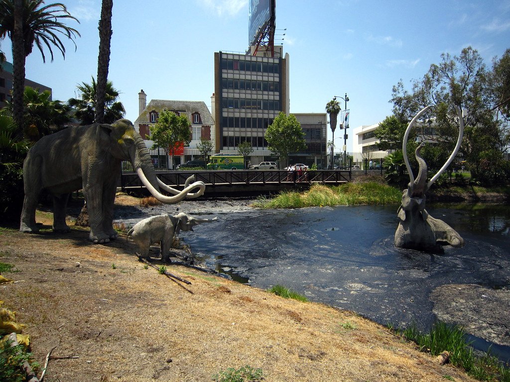 Gate Repair in La Brea, CA Fence install in La Brea, CA Fence Repair in La Brea, CA Gate Repair in La Brea, CA Garage Door install in La Brea, CA Gate Install in La Brea, CA Gate Access Control in La Brea, CA