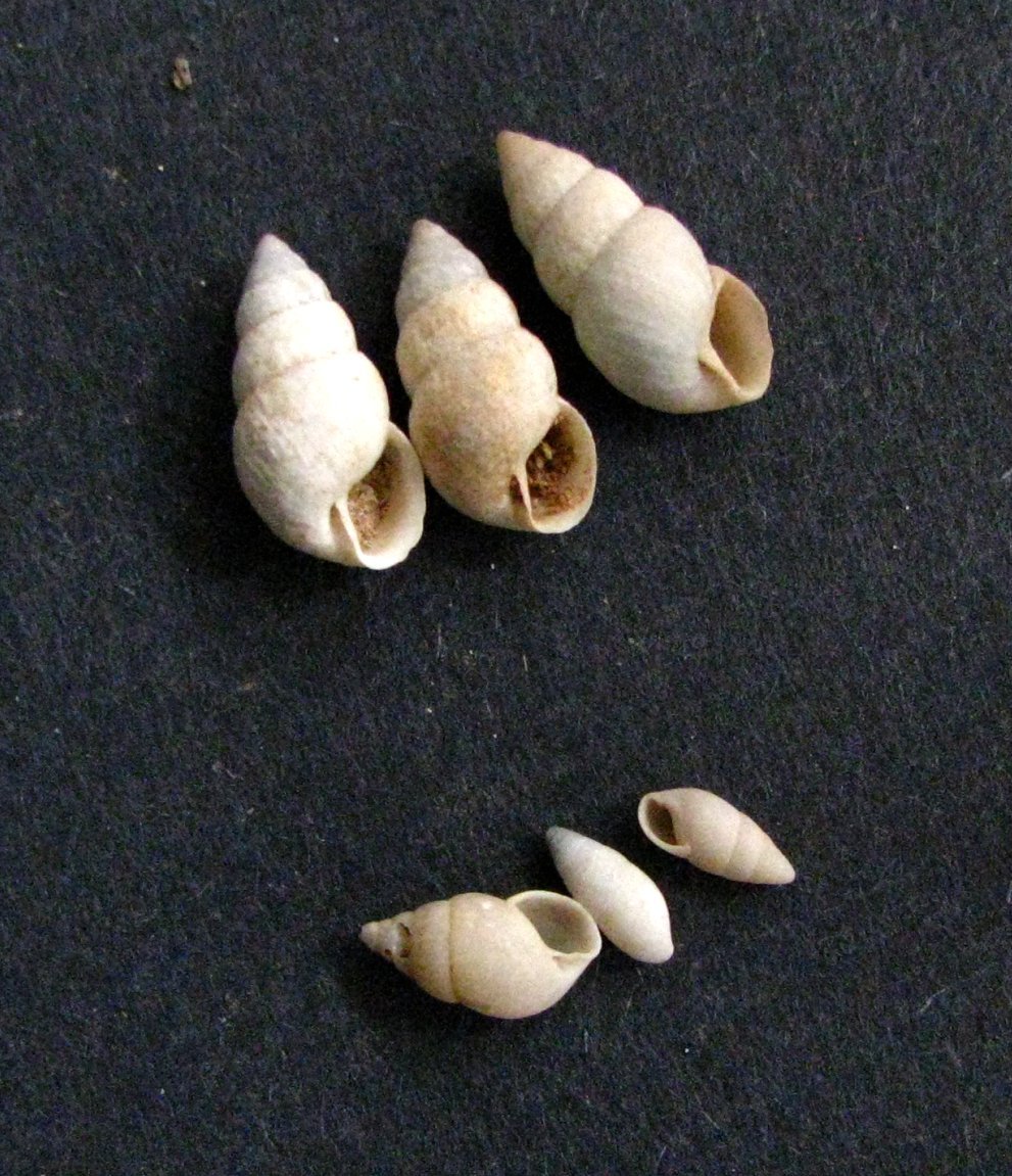 Gate Repair in La Crescenta, CA Fence install in La Crescenta, CA Fence Repair in La Crescenta, CA Gate Repair in La Crescenta, CA Garage Door install in La Crescenta, CA Gate Install in La Crescenta, CA Gate Access Control in La Crescenta, CA