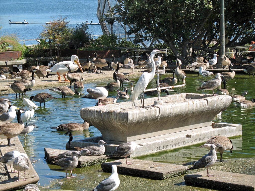 Gate Repair in Lakeside Park, CA Fence install in Lakeside Park, CA Fence Repair in Lakeside Park, CA Gate Repair in Lakeside Park, CA Garage Door install in Lakeside Park, CA Gate Install in Lakeside Park, CA Gate Access Control in Lakeside Park, CA