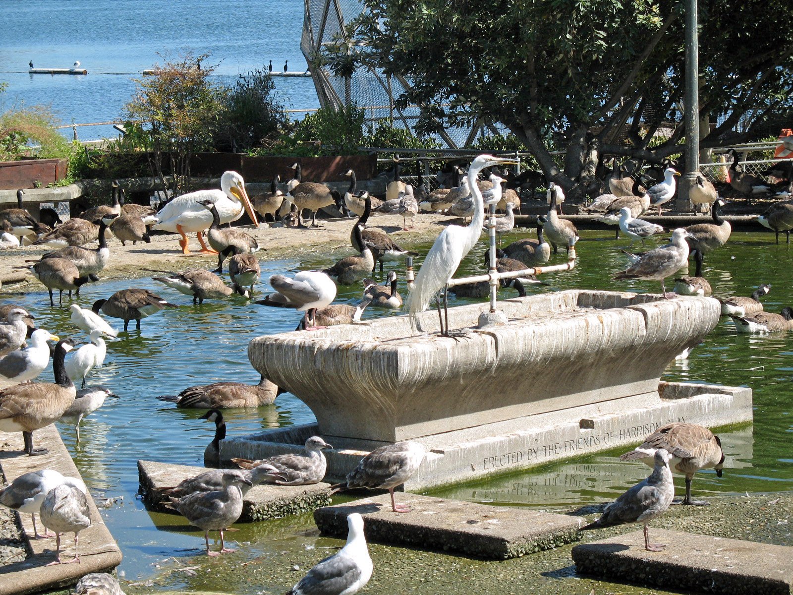 Gate Repair in Lakeside Park, CA Fence install in Lakeside Park, CA Fence Repair in Lakeside Park, CA Gate Repair in Lakeside Park, CA Garage Door install in Lakeside Park, CA Gate Install in Lakeside Park, CA Gate Access Control in Lakeside Park, CA