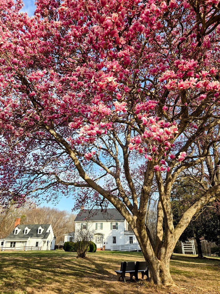 Gate Repair in Magnolia Park, CA Fence install in Magnolia Park, CA Fence Repair in Magnolia Park, CA Gate Repair in Magnolia Park, CA Garage Door install in Magnolia Park, CA Gate Install in Magnolia Park, CA Gate Access Control in Magnolia Park, CA