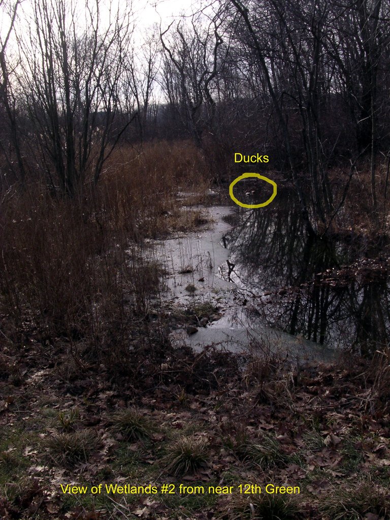 Gate Repair in Melrose, CA Fence install in Melrose, CA Fence Repair in Melrose, CA Gate Repair in Melrose, CA Garage Door install in Melrose, CA Gate Install in Melrose, CA Gate Access Control in Melrose, CA